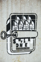 Montana Stencil Spray